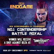 End Game – #1 Contender Battle Royal